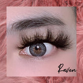 Raven - Lashpire